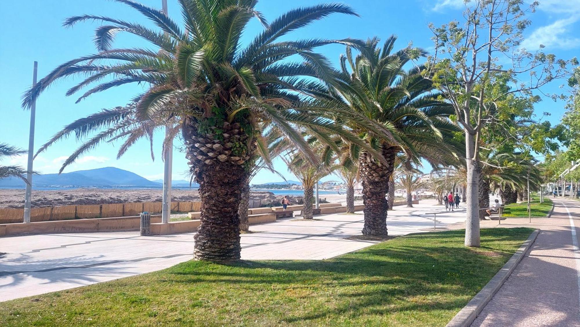 Lovealghero Stanze In Attico Vista Mare מראה חיצוני תמונה